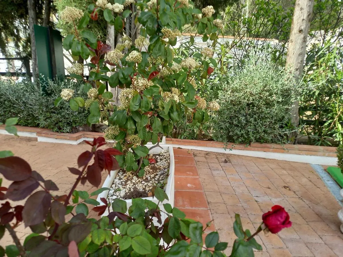 Casa En La Serrania De Ronda En Malaga Estacion De Benaojan Spain
